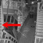 ಸಿದ್ದಾಪುರದಲ್ಲಿ ಮನೆಯ ಮೆಟ್ಟಿಲುಗಳ ಮೇಲೆ ಚಿರತೆ ಓಡಾಡಿದ ದೃಶ್ಯ