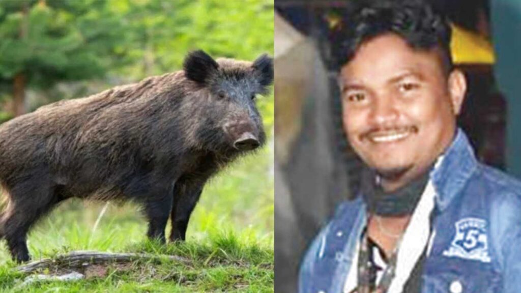ಹೊನ್ನಾವರದಲ್ಲಿ ಕಾಡುಹಂದಿ ಅಡ್ಡ ಬಂದ ಪರಿಣಾಮ ಬೈಕ್ ಸವಾರ ನಾಗರಾಜ ಜಟ್ಟು ಗೌಡ ಸ್ಥಳದಲ್ಲೇ ಮೃತಪಟ್ಟ ಘಟನೆ